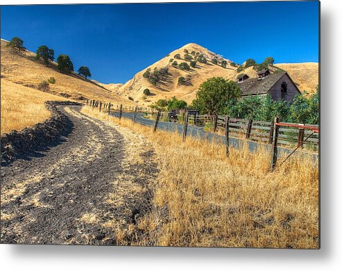 Tonemapped Metal Print featuring the photograph Along the Road by Robin Mayoff