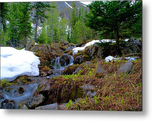 Alpine Spring Metal Print featuring the photograph Alpine Spring by Kevin Bone