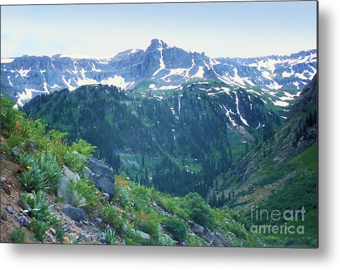 Green Metal Print featuring the photograph Alpine Vista near Durango by Teri Atkins Brown