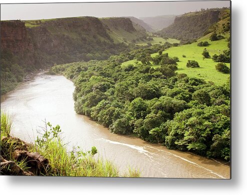 Biology Metal Print featuring the photograph Amadiba Nature Reserve by Philippe Psaila