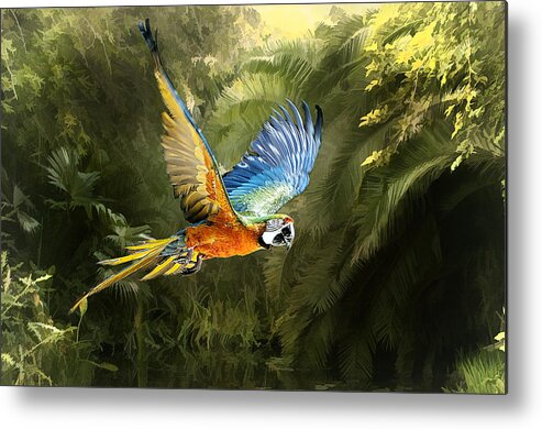 Macaw Metal Print featuring the photograph Amazon Beauty by Brian Tarr