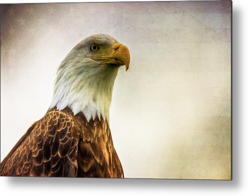 Bald Eagle Metal Print featuring the photograph American Bald Eagle with Flag by Natasha Bishop