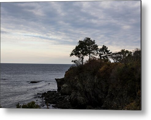 Andrew Pacheco Metal Print featuring the photograph An Ocean View by Andrew Pacheco