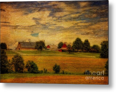 Farm Metal Print featuring the photograph And The Livin' Is Easy by Lois Bryan