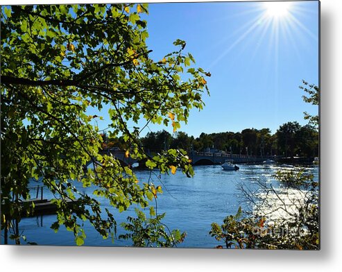  Metal Print featuring the photograph And The Sun Was Shining by Tammie Miller