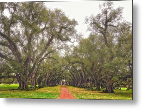 Oak Alley Plantation Metal Print featuring the photograph And Time Stood Still by Steve Harrington