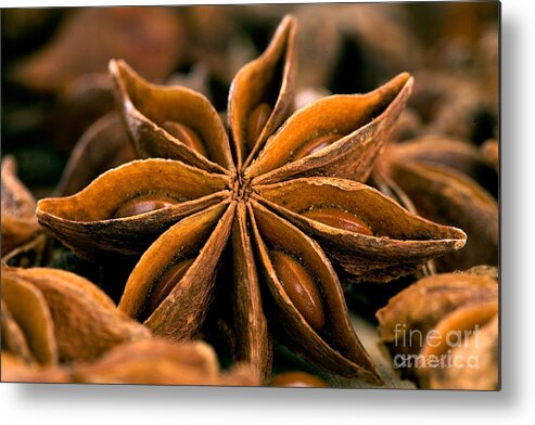 Anise Metal Print featuring the photograph Anise Star by Iris Richardson