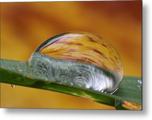 Macro Metal Print featuring the photograph Another World by Juergen Roth