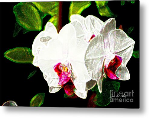 Orchid Metal Print featuring the photograph AOS White Orchid 2 by Janis Lee Colon