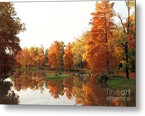 Bartlett Arboretum Metal Print featuring the photograph Arb Awe by Betty Morgan