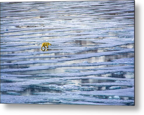 Arctic Metal Print featuring the photograph Arctic Journey by Randy Green