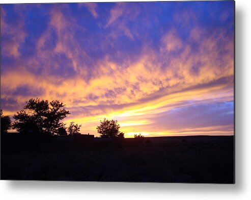 Sunset Metal Print featuring the photograph Arizona Sunset by Susan Woodward