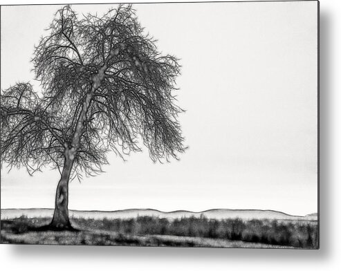 Landscape Metal Print featuring the photograph Artistic Black and White Sunset Tree by Don Johnson