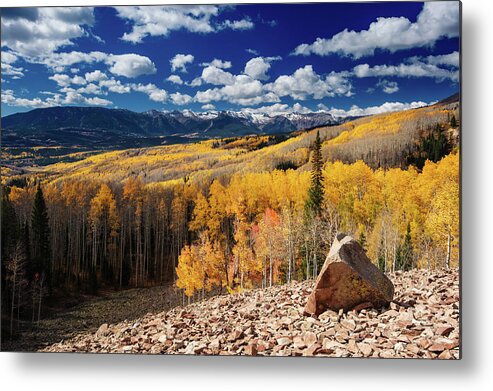 Scenics Metal Print featuring the photograph Aspen Forest by Piriya Photography