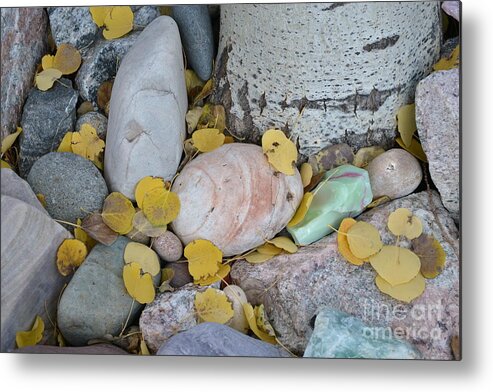 Aspen Metal Print featuring the photograph Aspen Leaves on the Rocks by Dorrene BrownButterfield