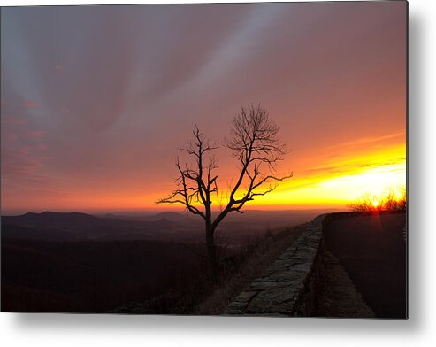 Nature Metal Print featuring the photograph At First Light by Everett Houser