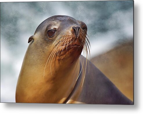 Sea Lion Metal Print featuring the photograph At the Sea by Leda Robertson