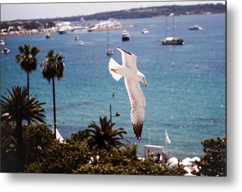 Horizontal Metal Print featuring the photograph Atmosphere - The 67th Annual Cannes by Francois Durand