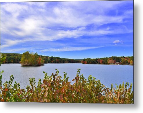 Autumn Metal Print featuring the photograph Autumn Around the Pond by Tammie Miller