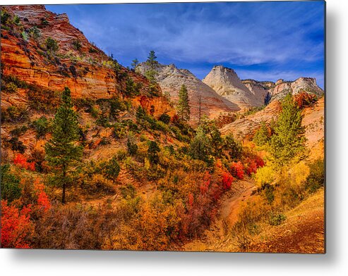 Zion Metal Print featuring the photograph Autumn Arroyo by Greg Norrell