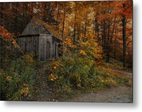 Barn Metal Print featuring the photograph Autumn Canopy by Robin-Lee Vieira