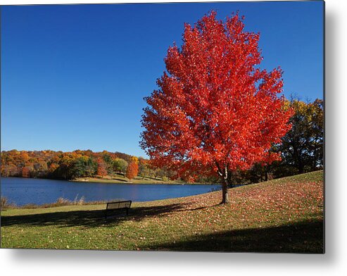 Autumn Metal Print featuring the photograph Autumn Colors at Wyandotte County Lake by Alan Hutchins