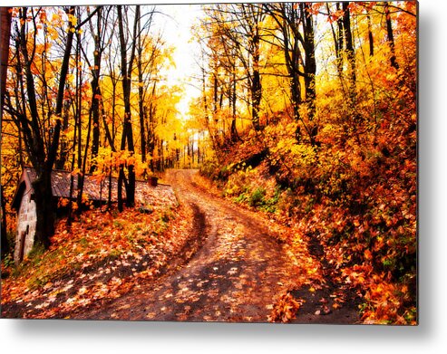 Canada Metal Print featuring the photograph Autumn Colors by Bill Howard