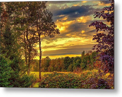 Fred Larson Metal Print featuring the photograph Autumn Colors by Fred Larson