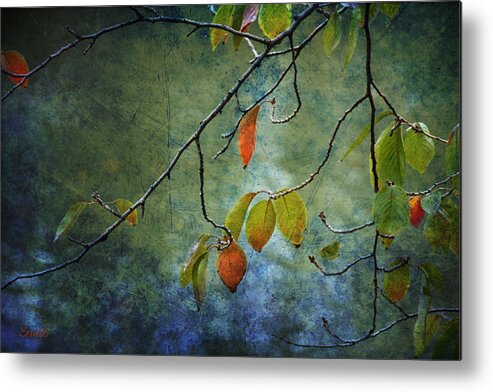 Autumn Metal Print featuring the photograph Autumn Colours by Eena Bo
