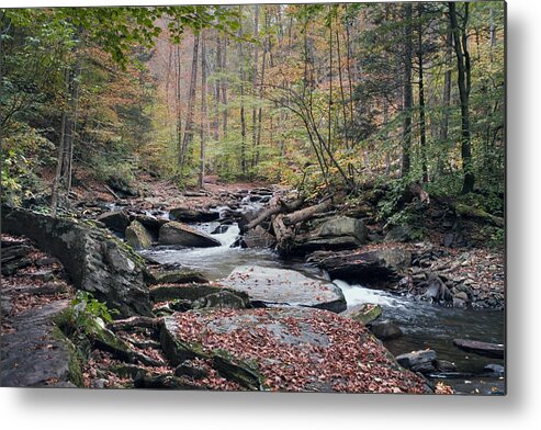 Autumn Metal Print featuring the photograph Autumn Drizzle on Kitchen Creek by Gene Walls