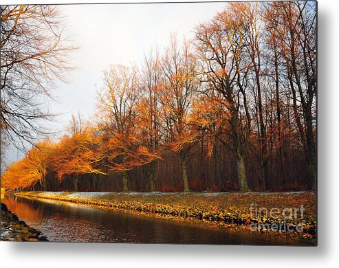 Autumn Metal Print featuring the photograph Autumn Fire by Randi Grace Nilsberg