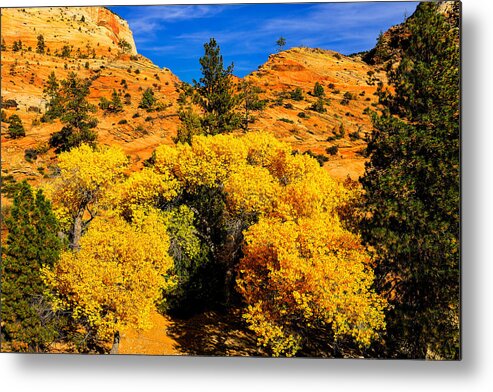 Zion Metal Print featuring the photograph Autumn in Zion by Greg Norrell