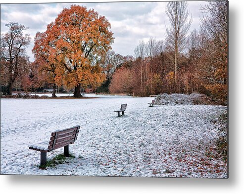 Shirley Mitchell Metal Print featuring the photograph Autumn meet Winter by Shirley Mitchell