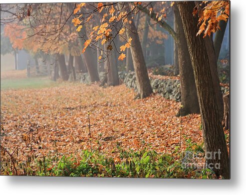 Autumn Metal Print featuring the photograph Autumn Morning Fog by Jayne Carney