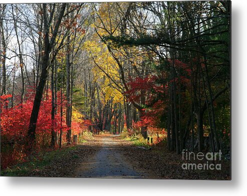 Autumn Metal Print featuring the photograph Autumn Paths  No.2 by Neal Eslinger