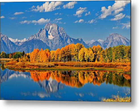 Oxbow Bend Metal Print featuring the photograph Autumn Peak at Oxbow Bend by Greg Norrell