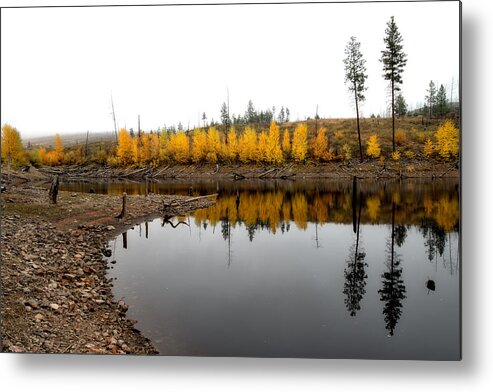 Reflections Metal Print featuring the photograph Autumn Reflection Pair by Allan Van Gasbeck