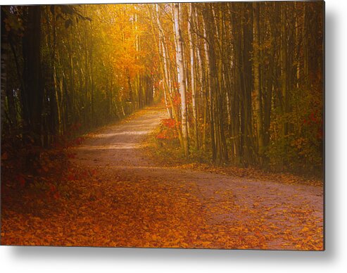 Road Autumn Fall Colors Landscape Photograph Print Acrylic Canvas Metal Leaves Trees Ontario Canada Metal Print featuring the photograph Autumn Roadway by Jim Vance