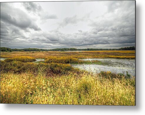 Autumn Metal Print featuring the photograph Autumn Salt Marsh - Bombay Hook National Wildlife Refuge - Delaware - USA by Carol Senske