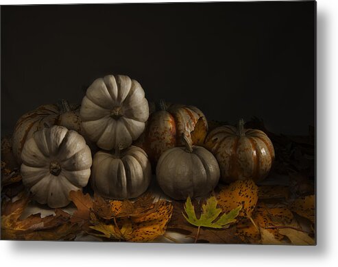 Autumn Still Life Metal Print featuring the photograph Autumn Still Life by Nebojsa Novakovic