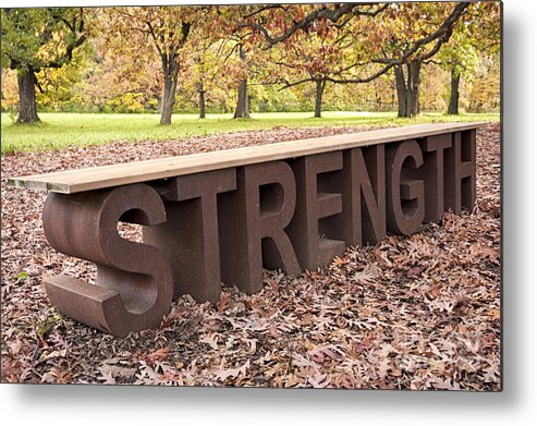 Strength Metal Print featuring the photograph Autumn Strength by Patty Colabuono