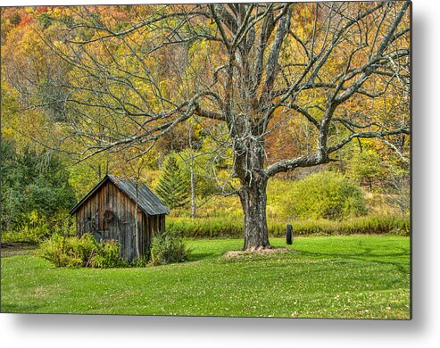 Swing Metal Print featuring the photograph Autumn Swing by Cathy Kovarik