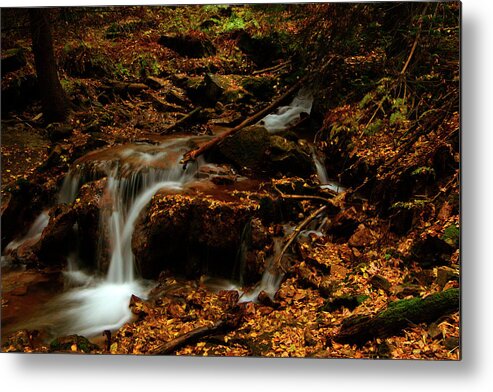Colorado Metal Print featuring the photograph Autumn Washed Away by Jeremy Rhoades