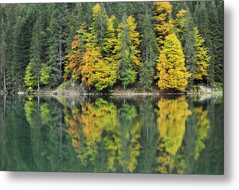 Nis Metal Print featuring the photograph Autumn forest Reflected In Lake Haute by Andre Gilden
