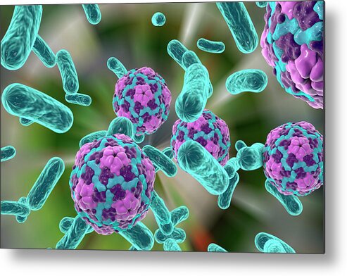 Artwork Metal Print featuring the photograph Bacteria And Hepatitis A Virus by Kateryna Kon