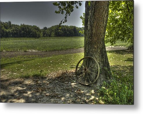 Brandywine Metal Print featuring the photograph Balance by DArcy Evans