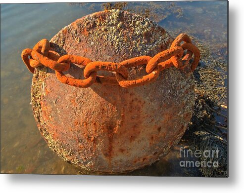 Acadia National Park Metal Print featuring the photograph Ball And Chain by Adam Jewell