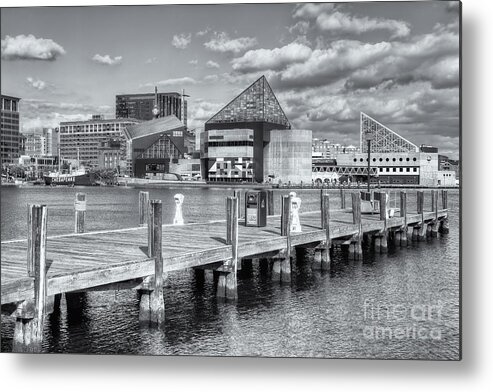 Clarence Holmes Metal Print featuring the photograph Baltimore Inner Harbor Skyline VI by Clarence Holmes