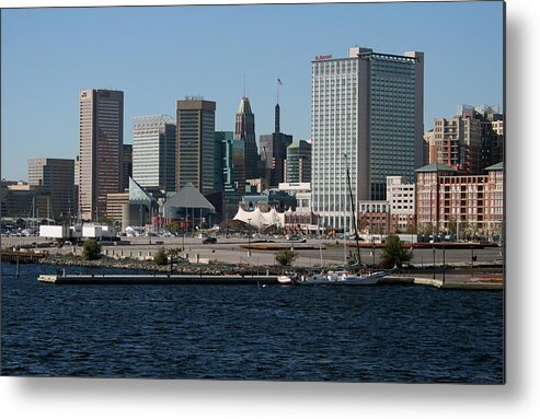 Baltimore Metal Print featuring the photograph Baltimore by Karen Harrison Brown