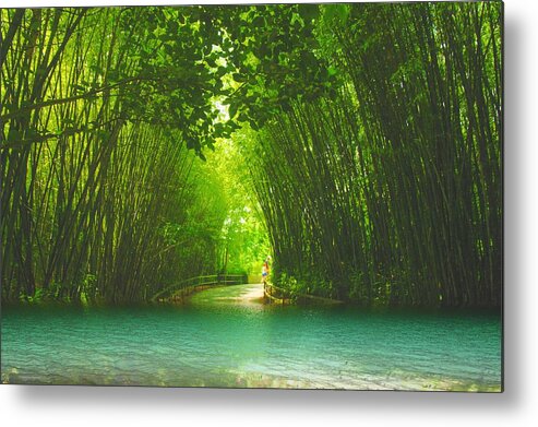 Blue Lagoon Metal Print featuring the photograph bamboo path to Blue Lagoon by Dennis Baswell